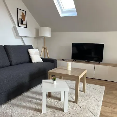 La Niche Sous Les Toits De Graslin Appartement Nantes