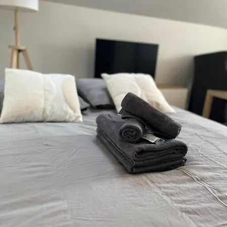 Appartement La Niche Sous Les Toits De Graslin