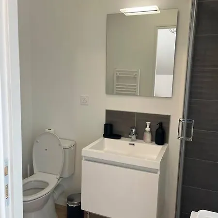 La Niche Sous Les Toits De Graslin Nantes