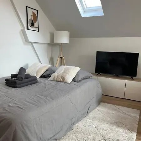 La Niche Sous Les Toits De Graslin Appartement *