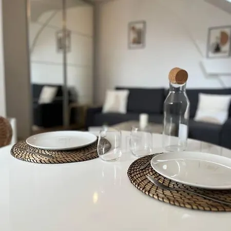 La Niche Sous Les Toits De Graslin Appartement Nantes