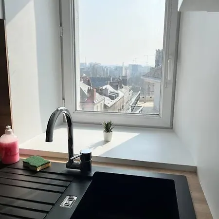 La Niche Sous Les Toits De Graslin * נאנט