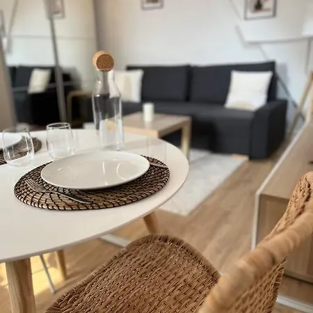 Апартаменты La Niche Sous Les Toits De Graslin