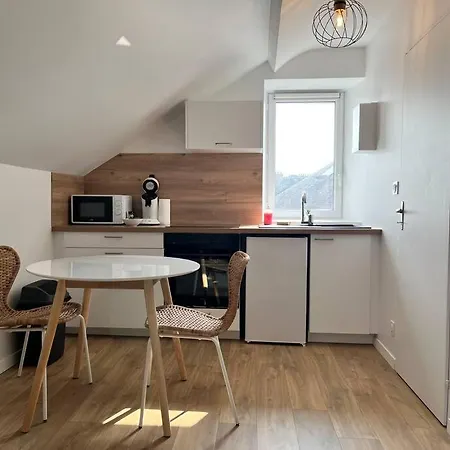 Апартаменты La Niche Sous Les Toits De Graslin